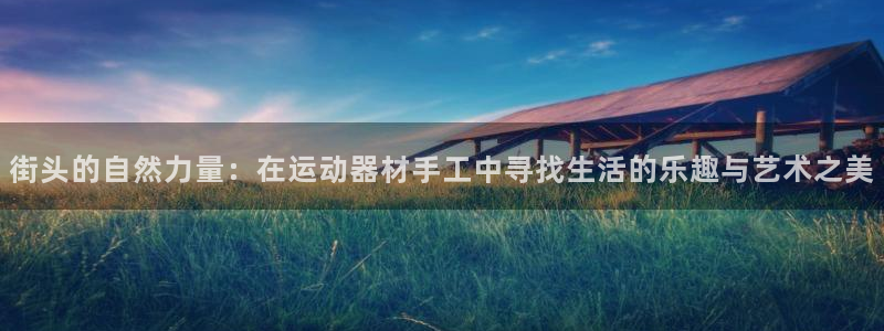 usdt官方钱宝：街头的自然力量：在运动器材手工中寻