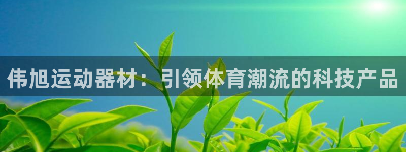 usdt钱包地址怎么弄：伟旭运动器材：引领体育潮流的